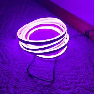 Ecoscapes Color-Changing LED Flex Light With Remote Control by Enbrighten, 16.4